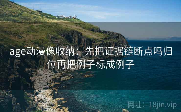 age动漫像收纳：先把证据链断点吗归位再把例子标成例子